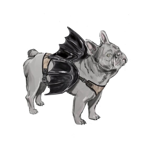 Simplicity 9875 Pattern Dog Harnesses Wings Sizes S-L Novelty Halloween Costume - Picture 4 of 7